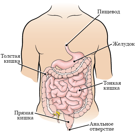 Психологи назвали 4 впечатления, которые важно подарить ребенку
