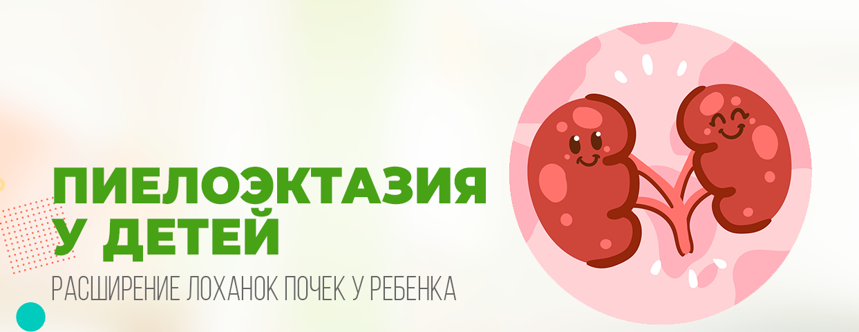 Увеличение лоханки почки у ребенка. Лечение и профилактика пиелоэктазии