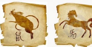 말과 쥐 : 동부 별자리에 따른 궁합 쥐와 말의 열정
