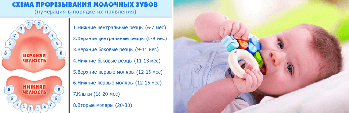 Как понять что у грудничка режутся зубки фото