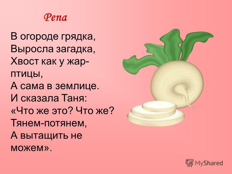 6 русских загадок. Загадки. Загадки фольклор. Загадки народного творчества.